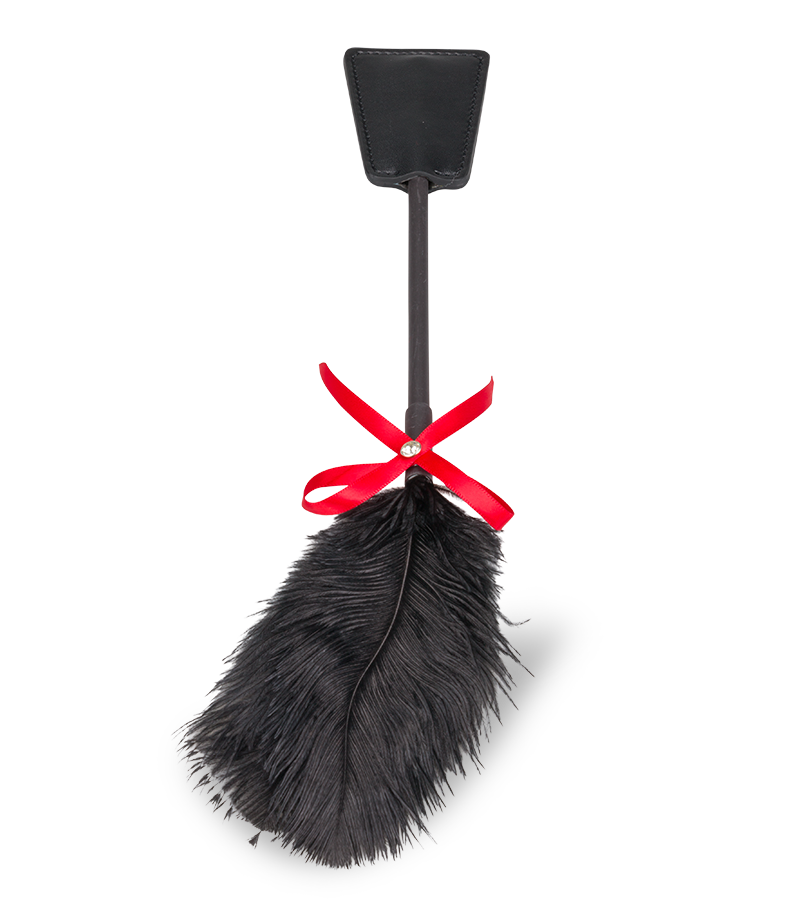 2-in-1-Reitgerte mit Feder